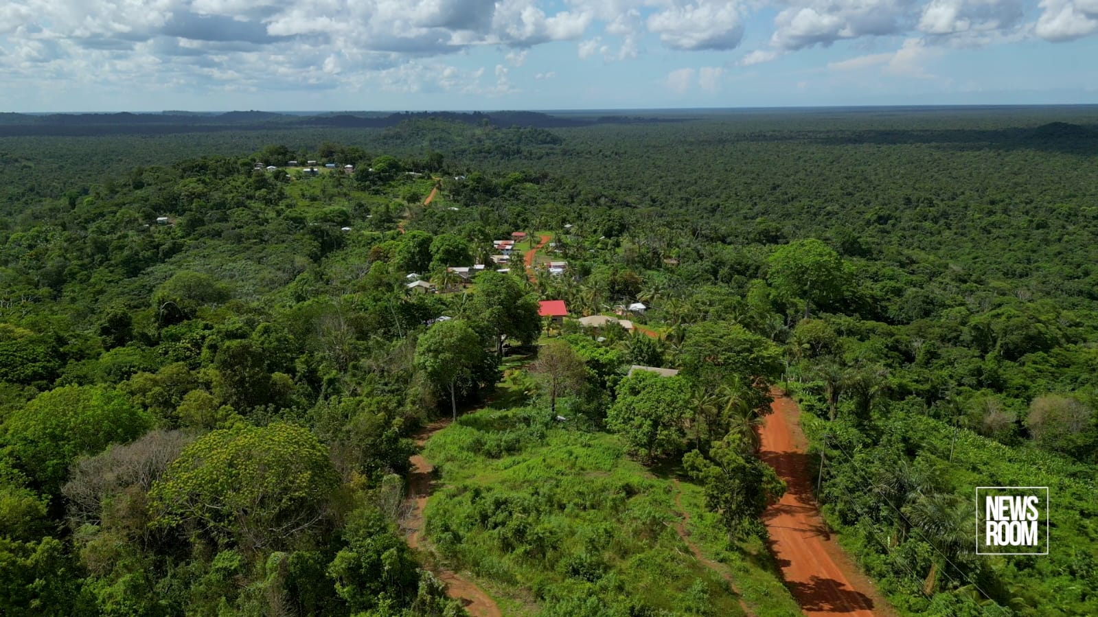 Guyana secures new milestone as ART issues over 9 million CORSIA-eligible carbon credits for 2023