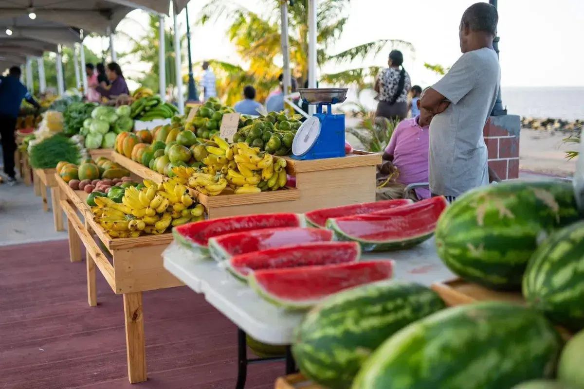 Mustapha highlights growth, resilience in sector as Agriculture Month 2026 begins